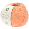 0122 Apricot