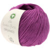 0136 Fuchsia