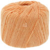 0041 Apricot