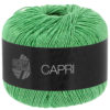 capri lana grossa 14760044 CK