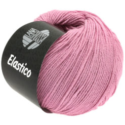 Elastico
