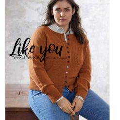 fs2022 beloved knits farbteil lana grossa final images 25