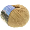 0063 Camel