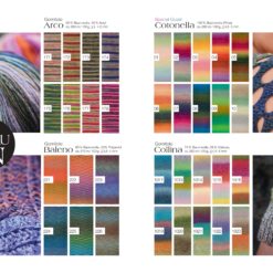 fs2024 gomitolo 13 farbteil lana grossa images 10