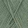 0193 Efeu